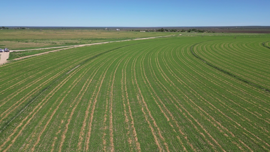 0 Bedroom Property for Sale in Douglas Rural Northern Cape